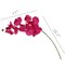 2-Pack: 33.5-Inch Fuchsia Phalaenopsis Orchid Stem with 9 Realistic Silk Blooms